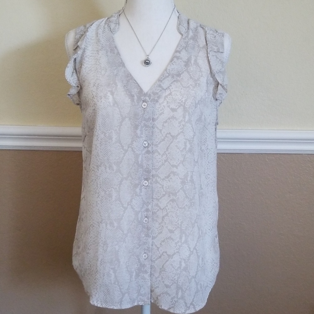 Sheer Blouse